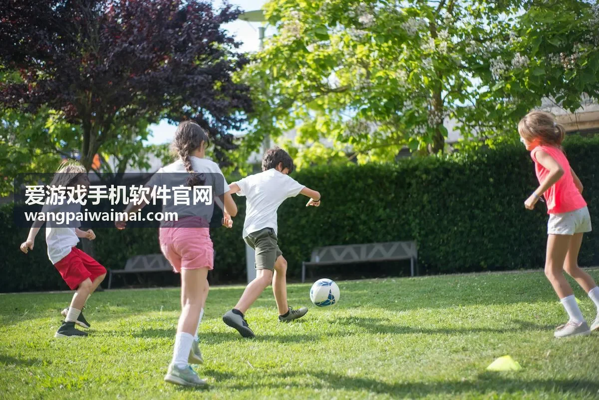 爱游戏手机软件官网玩家工具使用说明封面